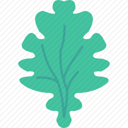 <em>叶子</em>