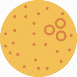 橙子