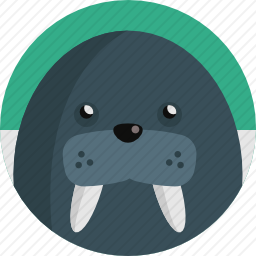 海象