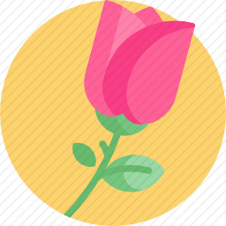 <em>玫瑰</em>