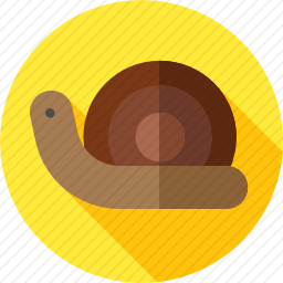 <em>蜗牛</em>