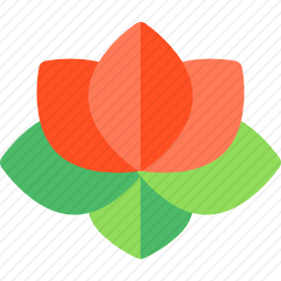 莲花
