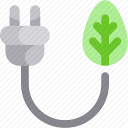 <em>插头</em>