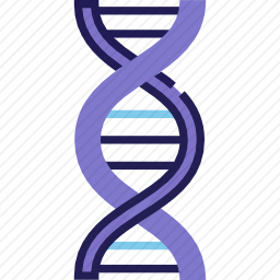 DNA