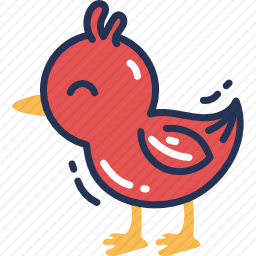 小鸡