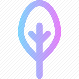 <em>菠菜</em>