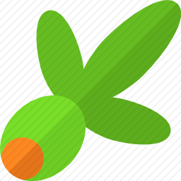 橄榄