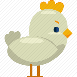 鸡