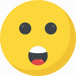 <em>惊讶</em>