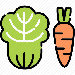 <em>蔬菜</em>