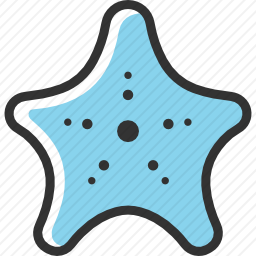 海星