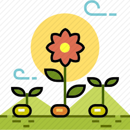 植物