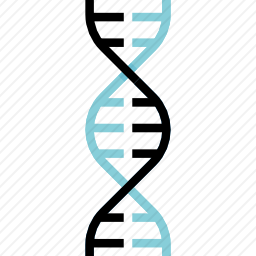 DNA