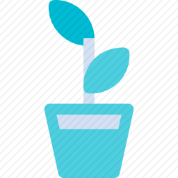 植物