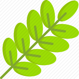 树枝