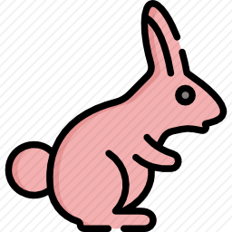兔子