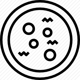 <em>培养皿</em>