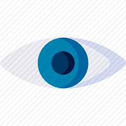 查看