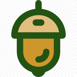 橡子