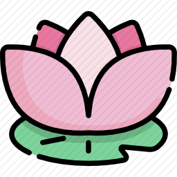 莲花