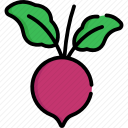 <em>甜菜</em>