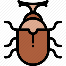 甲虫