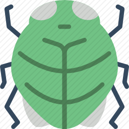 甲虫