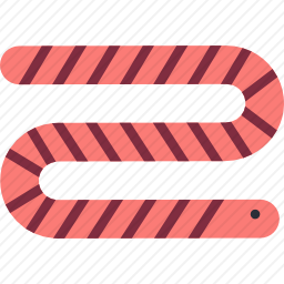 蠕虫