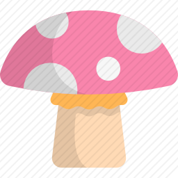 蘑菇
