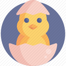 鸡