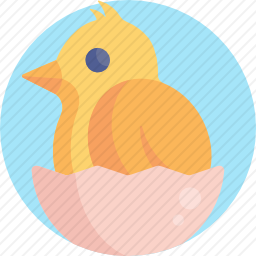 鸡