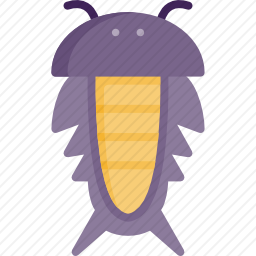 昆虫