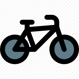 <em>自行车</em>