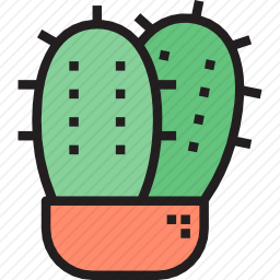 仙人掌