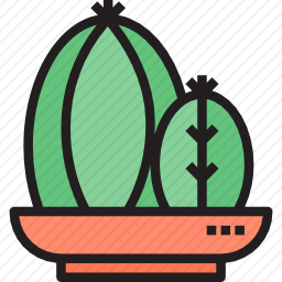 仙人掌