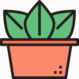 仙人掌