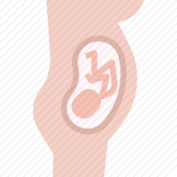 怀孕