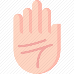 手掌