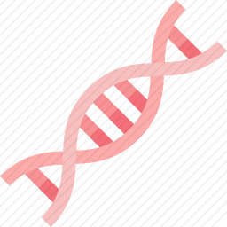 <em>遗传</em>