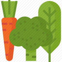 蔬菜