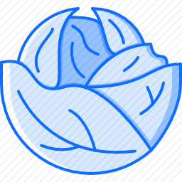 白菜