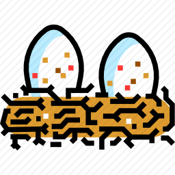 巢
