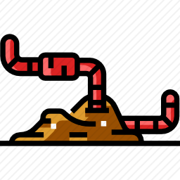 <em>蠕虫</em>