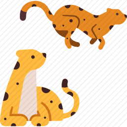 豹