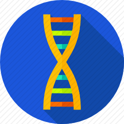 DNA