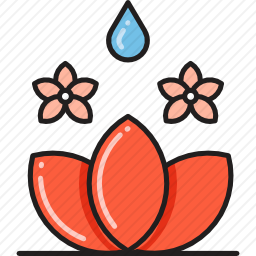莲花