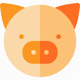 猪