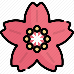 樱花
