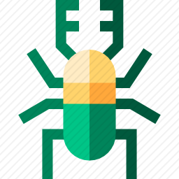 甲虫