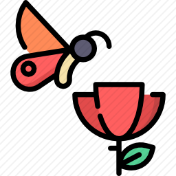 蝴蝶